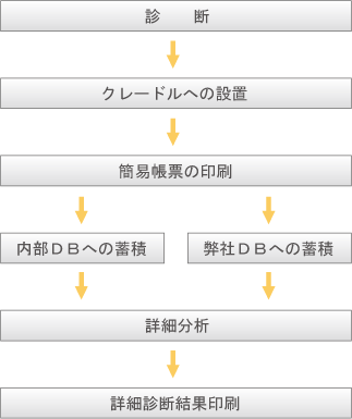 �f�f�̗���